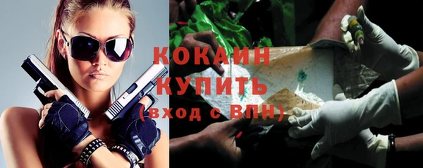 шишки Арсеньев