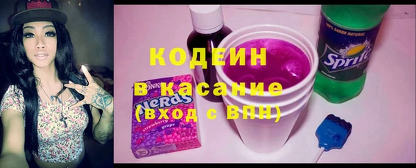 шишки Арсеньев