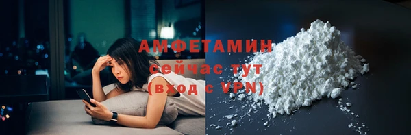шишки Арсеньев