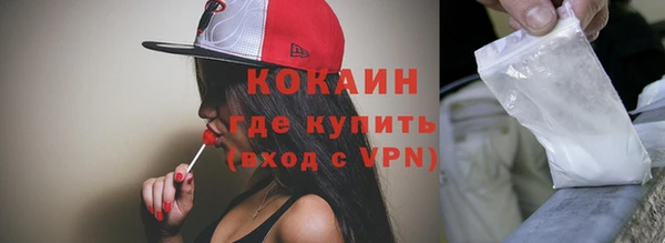 шишки Арсеньев