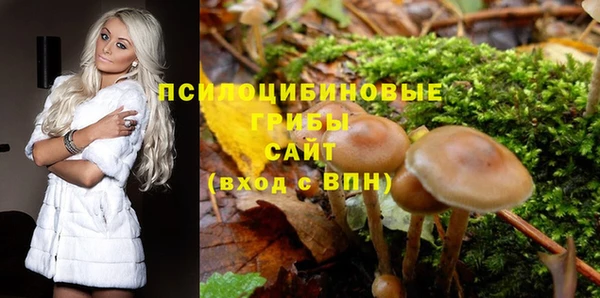 прущая мука Каменка