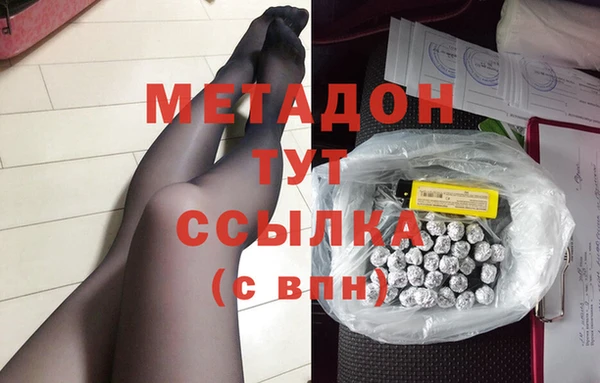 шишки Арсеньев