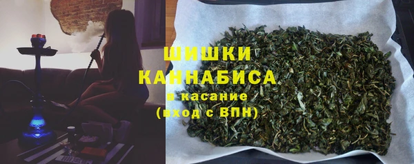 шишки Армянск