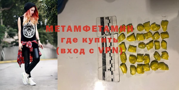 шишки Арсеньев