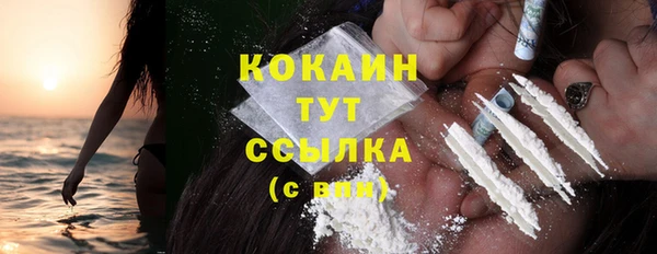 шишки Арсеньев